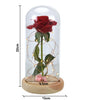 LED Rose Wishing Bottle Festival Light Warm