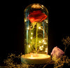 LED Rose Wishing Bottle Festival Light Warm