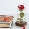 LED Rose Wishing Bottle Festival Light Warm
