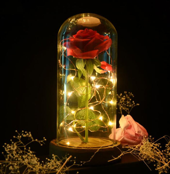 LED Rose Wishing Bottle Festival Light Warm